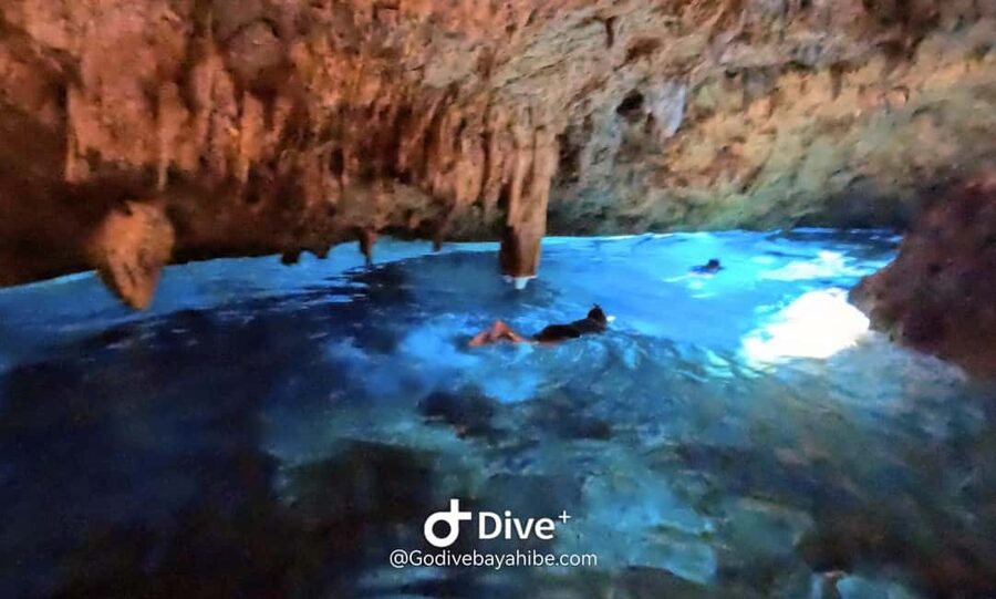 Bayahibe: Snorkeling Tour - Sea, Cotubanama park & Cenotes - Returning through the forest