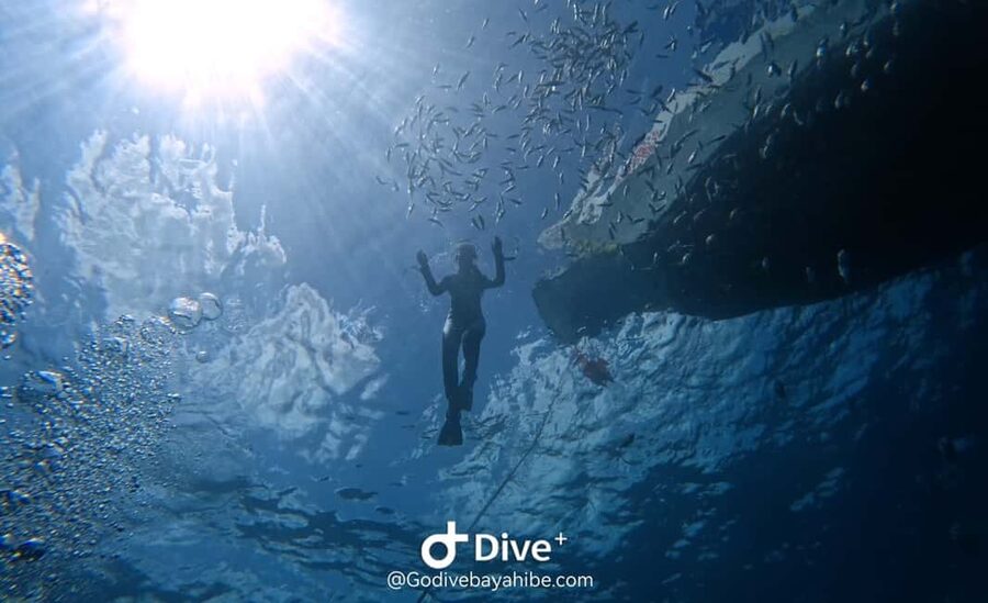 Bayahibe: Snorkeling Tour - Sea, Cotubanama park & Cenotes - Who should book this experience
