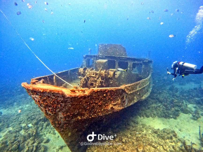 Bayahibe: Snorkeling Tour - Sea, Cotubanama park & Cenotes - What Gaëlle and Julien add to the day