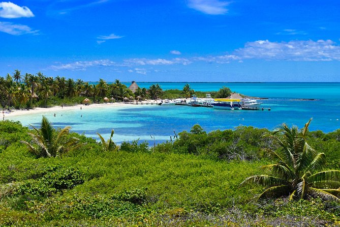 Beach Escape: Isla Contoy and Isla Mujeres with Snorkeling. - Isla Contoy gives this trip its purpose