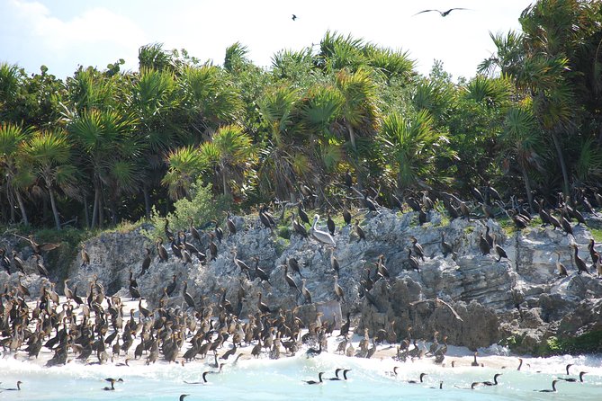 Beach Escape: Isla Contoy and Isla Mujeres with Snorkeling. - Three hours on a protected island
