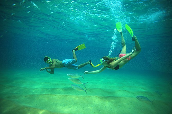 Beach Hopper Small-Group Snorkeling Tour in Los Cabos - Two bays, one fast boat ride