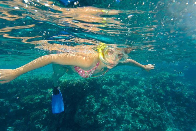 Beach Hopper Small-Group Snorkeling Tour in Los Cabos - Chileno Bay: a calm start for many swimmers