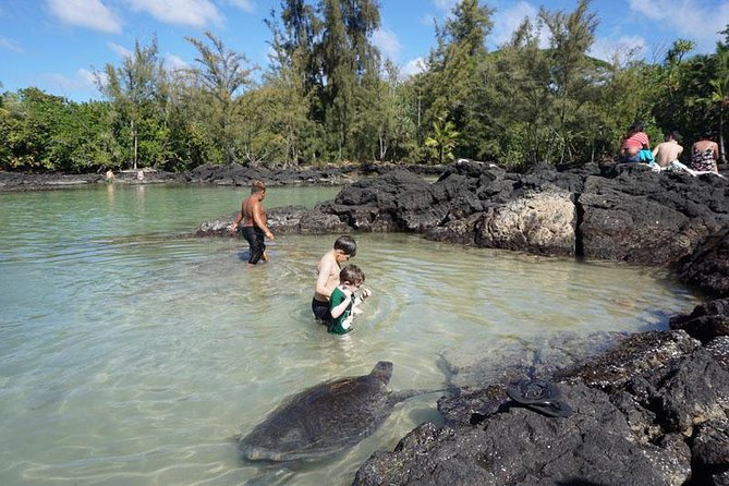 Beach Snorkel - Sea Turtle and Black Sand Lagoon - The guides are the strongest part of the experience