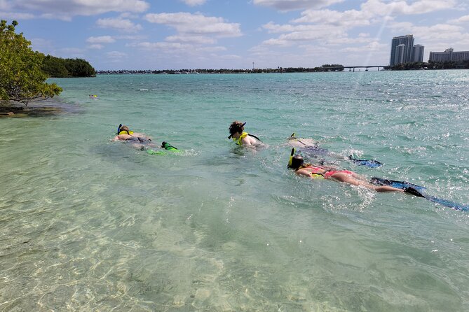 Beginner Friendly Island Snorkeling - What this $99 Miami water outing really includes