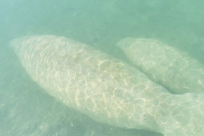 Beginner Friendly Island Snorkeling - The boat ride to Sandspur Island