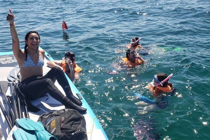 Beginner Friendly Island Snorkeling - Meeting the raccoons on Raccoon Island
