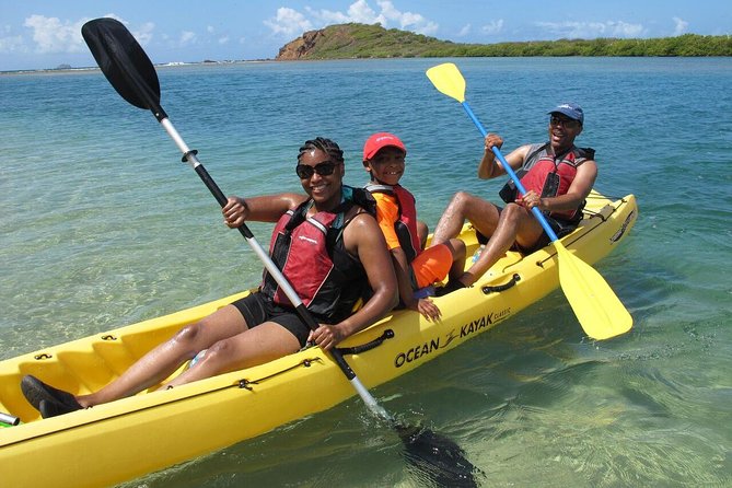 Best of Mangrove Lagoon Kayak, Hike and Snorkel Adventure with Picnic Lunch - Key details before you book