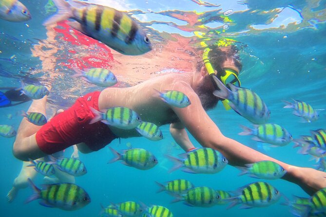 Best of Phi Phi Islands Snorkeling Tour from Phuket - Viking Cave brings a little local context