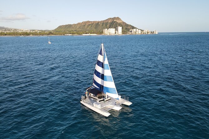 Best Waikiki Snorkel Tour: Guaranteed Turtles at Turtle Canyon - Who should book this Turtle Canyon trip?