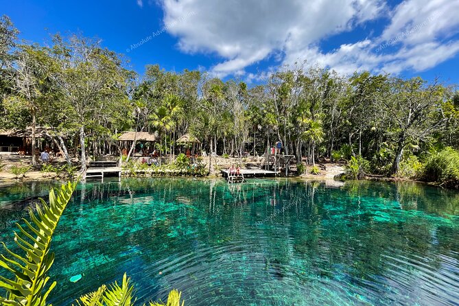 Bestseller! Tulum Private Tour with Turtles and Cenote Snorkeling - Who should book this Tulum tour