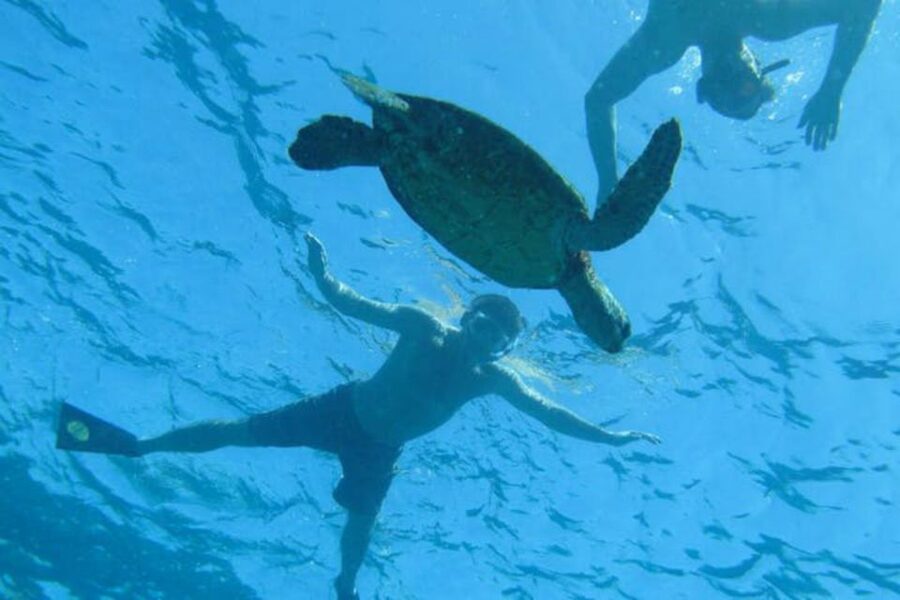 Big Island: Captain Cook Sightseeing & Snorkel Expedition - Sea caves, lava tubes, and the ride home