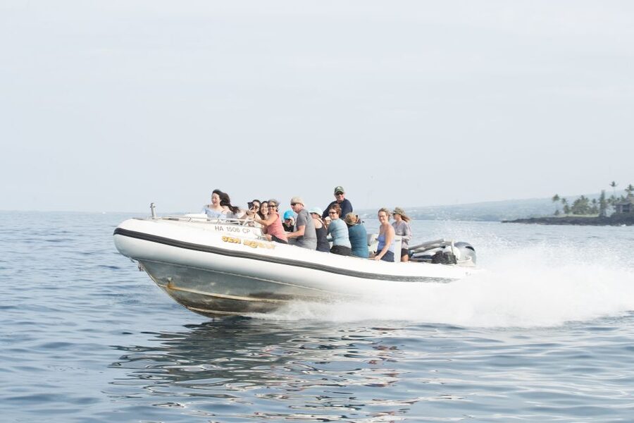 Big Island: Captain Cook Sightseeing & Snorkel Expedition - The one-hour snorkeling stop