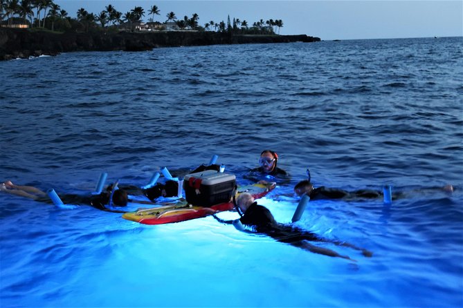 Big Island: Kona Manta Ray Snorkel Tour in Keauhou Harbor - Guides, safety, and comfort in dark water