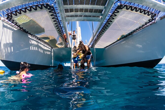 Big Island Snorkel Cruise from Waikoloa - What makes the reef stop worthwhile