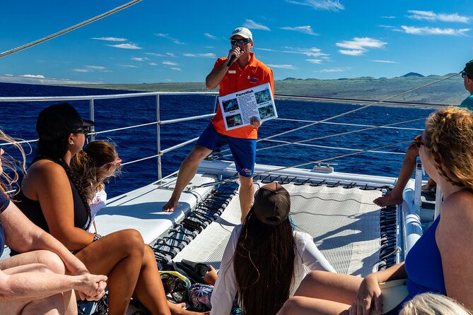 Big Island Snorkel Cruise from Waikoloa - Winter whale watching from December through March