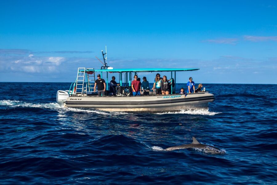 Big Island: South Kona Snorkeling and Coastline Exploration - Who will get the most from this tour