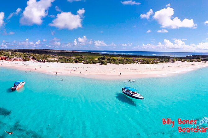 Billy Bones St. Maarten Getaway , Snorkeling with Turtles - Safety, swimming ability, and group size