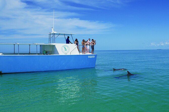 Biologist Owned & Operated: Dolphin Watching & Guided Snorkeling - Who should book this Key West boat trip?