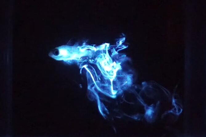 Bioluminescent Night Snorkeling - The glowing portion of the snorkel