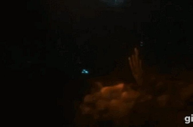 Bioluminescent Night Snorkeling - After the water, keep asking questions