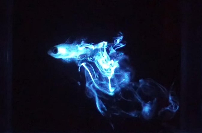 Bioluminescent Night Snorkeling - What to bring and how to prepare