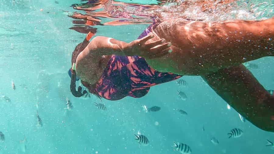 Blue Bay: Blue Bay Glass Bottom Boat Visit and Snorkeling - The 45-Minute Snorkeling Stop