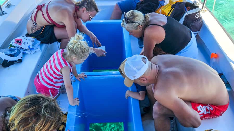 Blue Bay: Blue Bay Glass Bottom Boat Visit and Snorkeling - Who Should Book This Blue Bay Trip?