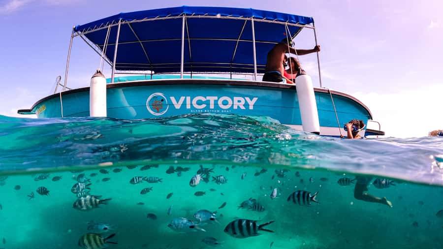 Blue Bay: Blue Bay Glass Bottom Boat Visit and Snorkeling - Should You Book the Blue Bay Glass-Bottom Boat Visit?