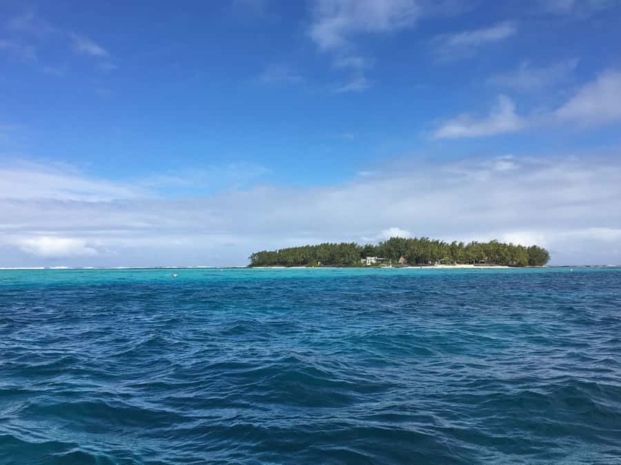 Blue Bay: Half-Day Snorkeling Trip with Creole Picnic Lunch - Is $70 good value?