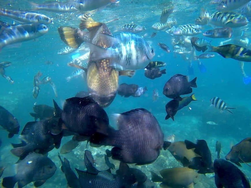 Blue Lagon Snorkeling, Waterfall, and Celuk Village Tour - Key points to know