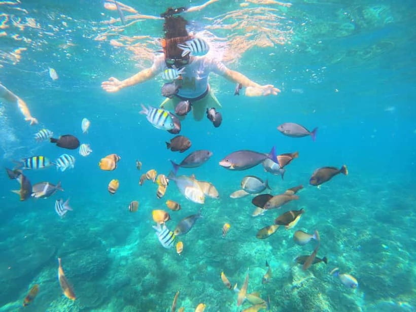 Blue Lagon Snorkeling, Waterfall, and Celuk Village Tour - Is $17 good value?