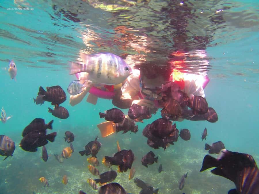 Blue Lagoon and Tanjung Jepun Snorkeling Tour - Tanjung Jepun: a gentle first stop