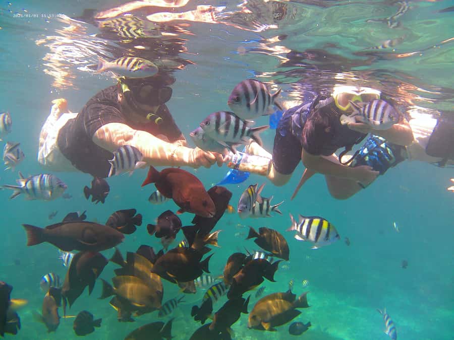 Blue Lagoon and Tanjung Jepun Snorkeling Tour - Equipment, safety, and comfort after the water