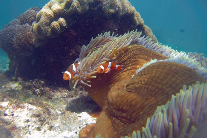 Blue Lagoon Bali Snorkeling Experience - Lunch, changing facilities, and the pace after snorkeling
