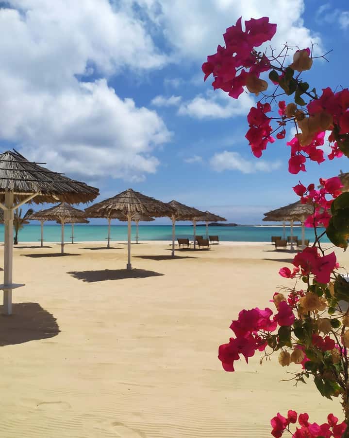 Boa Vista: Beautiful Beaches, Turtles & Djeu Island Snorkel - Snorkeling among fish and coral at Djeu