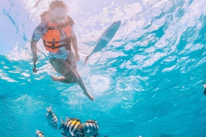 Boat and Snorkel Tour to 5 Islands of Los Arcos - Meeting in Zona Romántica, then riding south