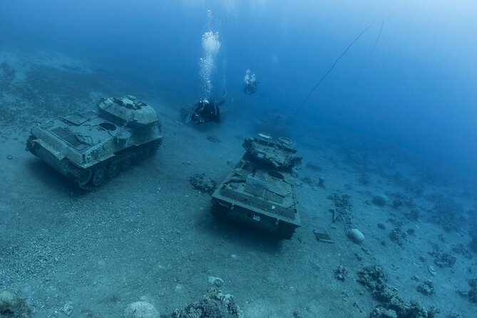 Boat Dive and Snorkeling Experience in Aqaba - Coral, fish, and wrecks without extra equipment costs