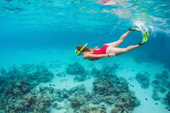 Boat Dive and Snorkeling Experience in Aqaba - Who will enjoy this Aqaba boat outing?