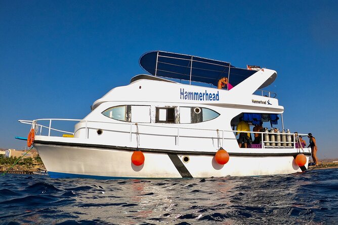 Boat Dive and Snorkeling Experience in Aqaba - What the first water stop offers