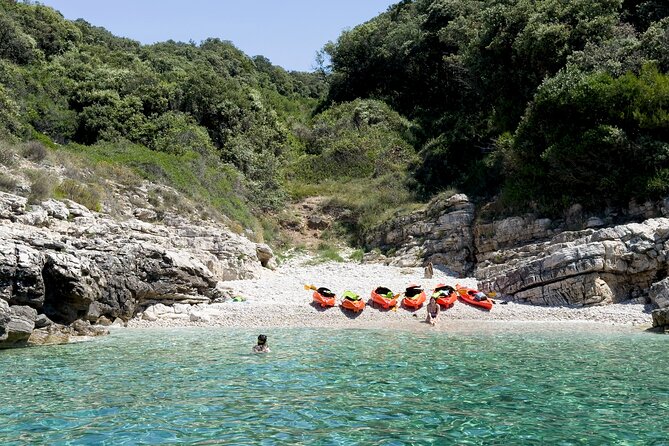 BOAT & KAYAK! Sea Adventure - Snorkeling & Cliff Jumps - Cliff jumps from low ledges to about 9 meters