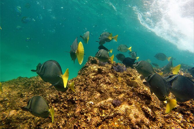 Boat ride to the Arch and Snorkel - About 30 minutes of open-water cruising