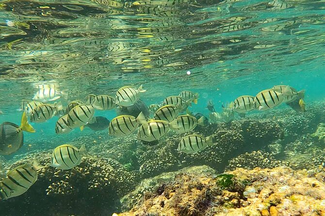 Boat ride to the Arch and Snorkel - Is $82.44 a fair price?
