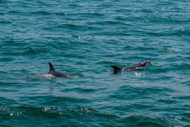 Boat Tour Snorkeling Tour with Guide, Drinks and Fruit - Why this $45 Cabo tour works well