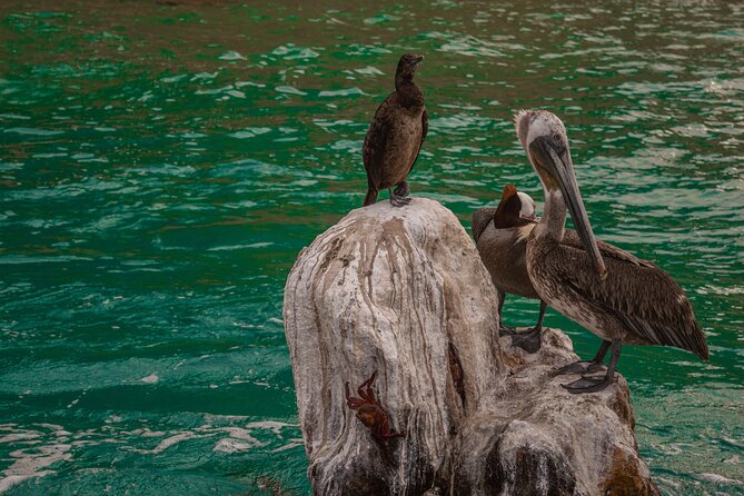Boat Tour Snorkeling Tour with Guide, Drinks and Fruit - What the crew and group size mean for you