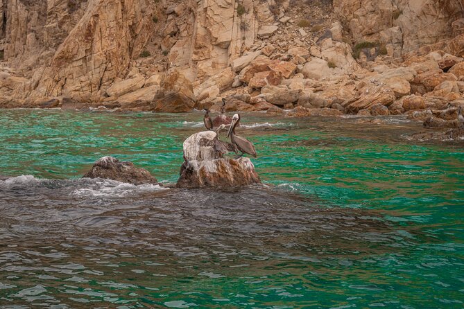 Boat Tour Snorkeling Tour with Guide, Drinks and Fruit - Is two hours long enough?