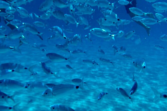 Boat Tour to Sella del Diavolo: Snorkeling, GoPro & Beer - Why Sella del Diavolo makes this trip special