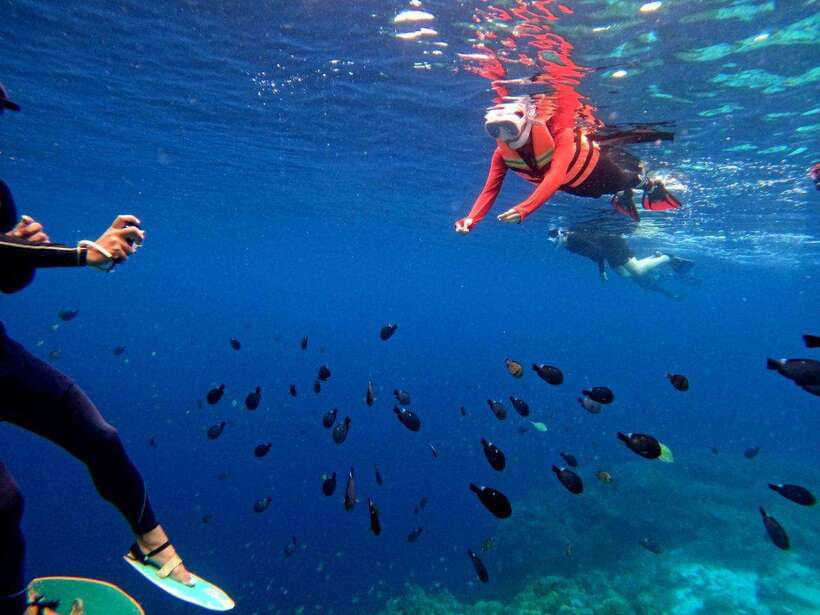 Bohol: Boat Tour to Sandbar and Snorkeling with Turtles - The crew and the shared-boat feel