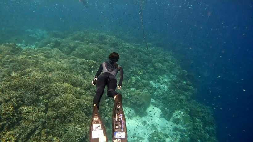 Bohol: Boat Tour to Sandbar and Snorkeling with Turtles - Weather, crowds, and the parts you cannot control