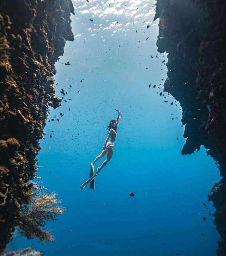 Bohol: Guided Sardine Reef Snorkeling Experience - A Four-Hour Outing, With About Two and a Half Hours at the Reef